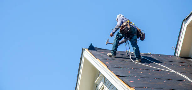 Best Roof Waterproofing Services  in Mchenry, IL